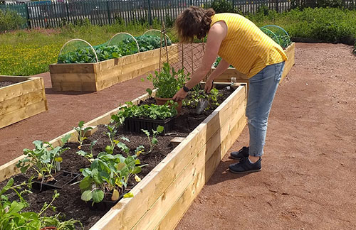 Clydesmill Community Garden