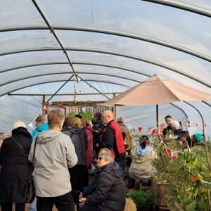 clydesmill growing