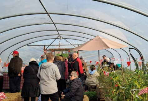 clydesmill growing